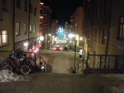 Timmermansgatan